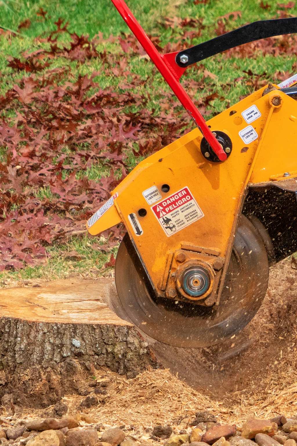 Stump Grinding Service Wilmington NC