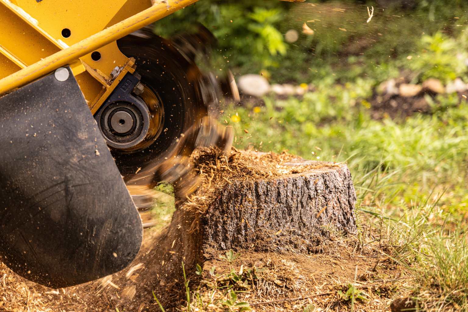 Stump Removal Service Wilmington NC