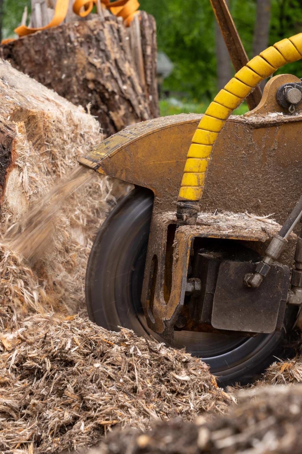 Wilmington Stump Grinding Services
