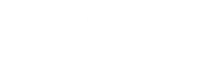 Wilmington Tree Service